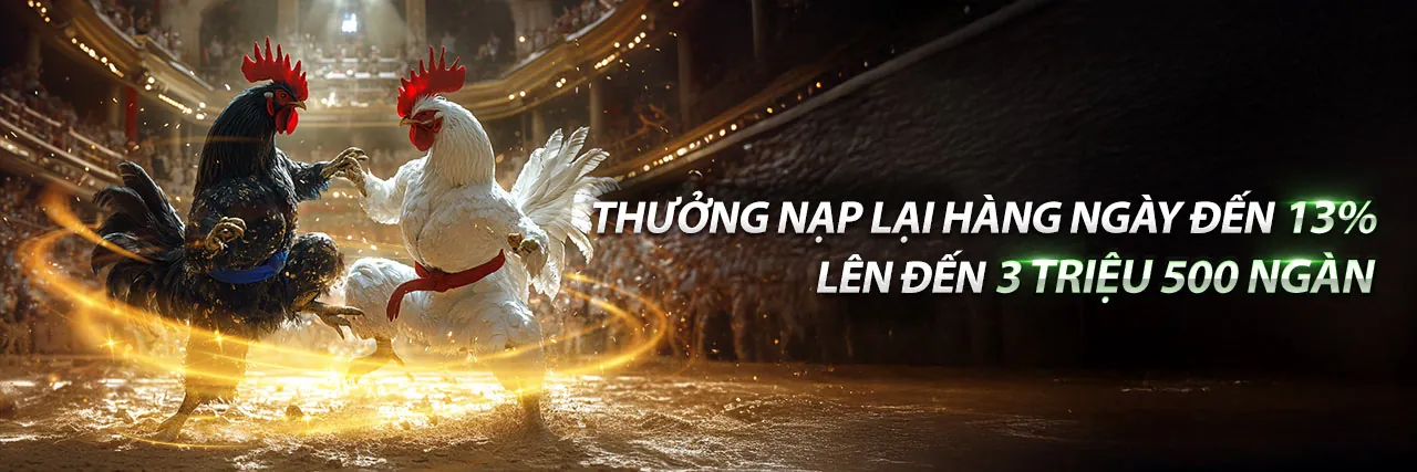 Đá Gà Trực Tuyến Banca29 APK